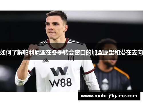 如何了解帕利尼亚在冬季转会窗口的加盟愿望和潜在去向 如何了解帕利尼亚在冬季转会窗口的加盟愿望和潜在去向