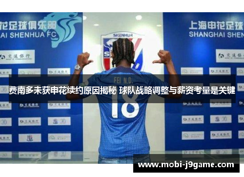 费南多未获申花续约原因揭秘 球队战略调整与薪资考量是关键