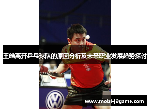 王皓离开乒乓球队的原因分析及未来职业发展趋势探讨