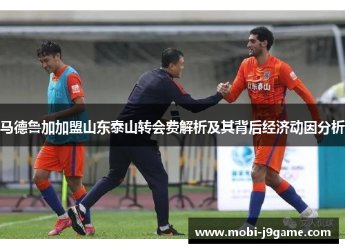 马德鲁加加盟山东泰山转会费解析及其背后经济动因分析